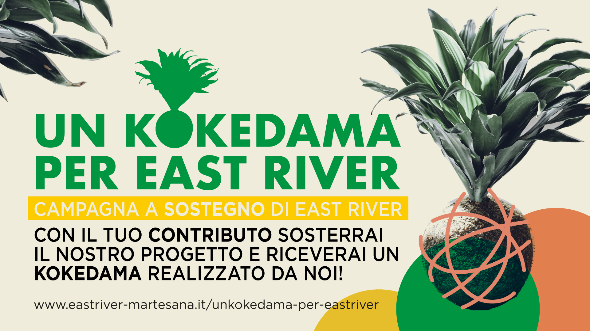 Un kokedama per east river